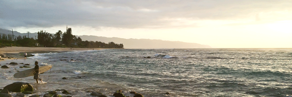 Zwei Wochen auf Hawaii